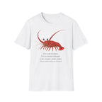 T-shirt illustré avec un homard — « Je n’ai pas peur »