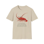 T-shirt illustré avec un homard — « Je n’ai pas peur »